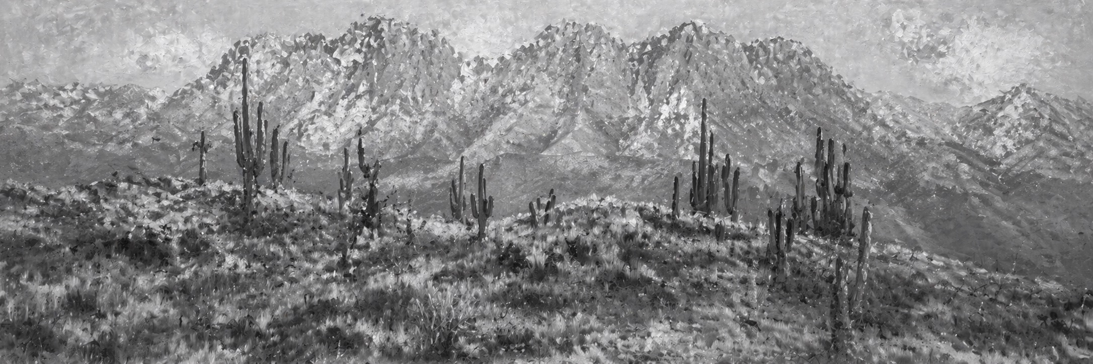 Arizona desert
